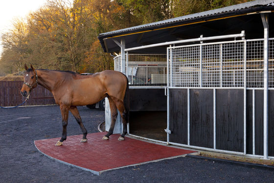 Dobra cena Zamówione podłogi z gumowej poduszki antypoślizgowej online