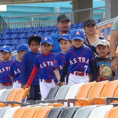 Dobra cena HDPE Plastic Stadium Seating Chair z funkcjami anty-aging, anty-UV i ognioodpornymi dla stadionów i aren online