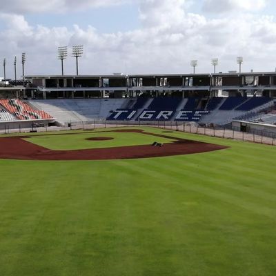 Instalacja podłogowa Tip Up Plastikowe siedzenia stadionowe Anti Aging Anti UV Fire Proof