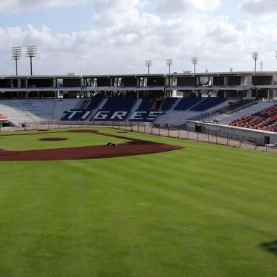 Dobra cena Miejsca sportowe na stadionie 5 lat - W 430 mm * D 600 mm * H 835 mm online