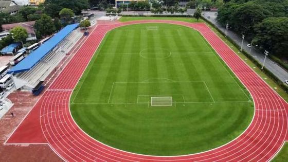 Dobra cena Biegówki sportowe z gumy o niskiej konserwacji dla centrów fitness online