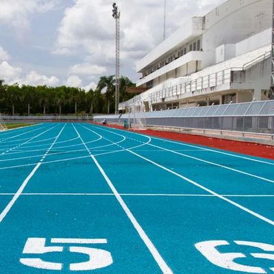 Dobra cena Niestandardowe tory biegowe dla sportowców Łatwe wstawianie z odpornością na błysk online